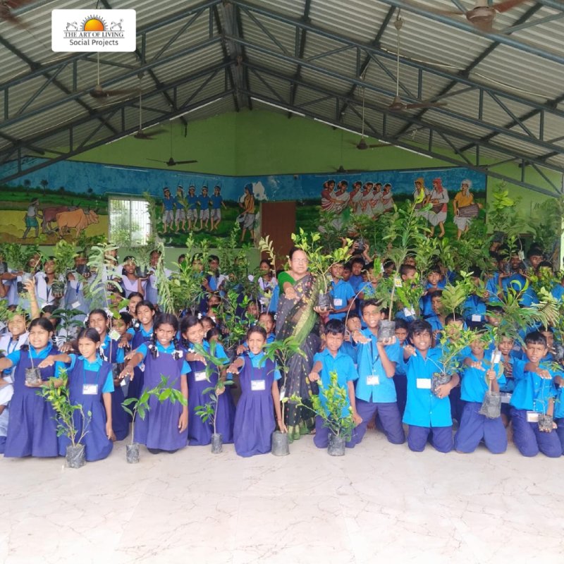 685 Saplings and a Lesson in Gratitude